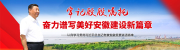 ​贯彻学习习近平总书记考察安徽重要讲话精神