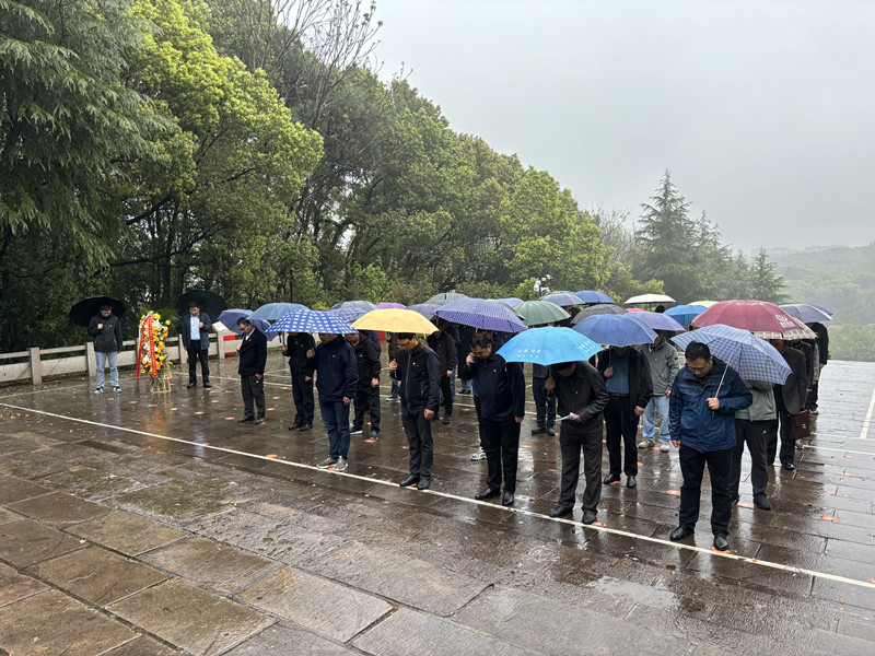 清明祭英烈 雨中祭哀思