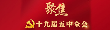 我院基层党支部荣获“双应”示范基层党组织荣誉称号